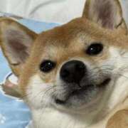 ヒメ日記 2025/05/19 23:33 投稿 くるみ 池袋ぱんぷきん（シンデレラグループ）