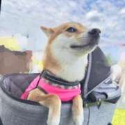 ヒメ日記 2025/06/04 20:02 投稿 くるみ 池袋ぱんぷきん（シンデレラグループ）