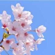 ヒメ日記 2025/01/26 09:15 投稿 ななお 奥鉄オクテツ東京店（デリヘル市場）