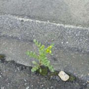 ヒメ日記 2025/03/22 08:40 投稿 ななお 奥鉄オクテツ東京店（デリヘル市場）