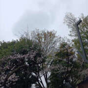 ヒメ日記 2025/04/03 23:50 投稿 ななお 奥鉄オクテツ東京店（デリヘル市場）