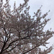 ヒメ日記 2025/04/08 23:00 投稿 ななお 奥鉄オクテツ東京店（デリヘル市場）