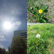 ヒメ日記 2025/05/01 15:10 投稿 ななお 奥鉄オクテツ東京店（デリヘル市場）