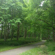 ヒメ日記 2025/05/19 15:40 投稿 ななお 奥鉄オクテツ東京店（デリヘル市場）