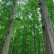 ヒメ日記 2025/06/11 08:35 投稿 ななお 奥鉄オクテツ東京店（デリヘル市場）