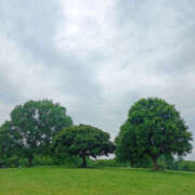 ヒメ日記 2025/06/14 06:40 投稿 ななお 奥鉄オクテツ東京店（デリヘル市場）