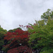 ヒメ日記 2025/06/18 23:50 投稿 ななお 奥鉄オクテツ東京店（デリヘル市場）