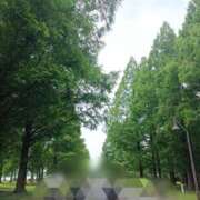 ヒメ日記 2025/06/21 11:30 投稿 ななお 奥鉄オクテツ東京店（デリヘル市場）