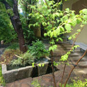 ヒメ日記 2025/06/27 07:50 投稿 ななお 奥鉄オクテツ東京店（デリヘル市場）