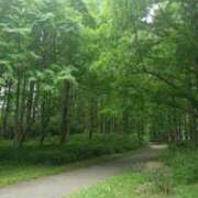 ヒメ日記 2025/07/15 07:40 投稿 ななお 奥鉄オクテツ東京店（デリヘル市場）