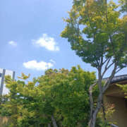 ヒメ日記 2025/07/24 07:00 投稿 ななお 奥鉄オクテツ東京店（デリヘル市場）