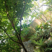 ヒメ日記 2025/07/25 06:25 投稿 ななお 奥鉄オクテツ東京店（デリヘル市場）