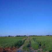 ヒメ日記 2025/07/29 07:00 投稿 ななお 奥鉄オクテツ東京店（デリヘル市場）