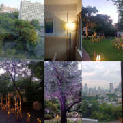 ヒメ日記 2025/08/05 22:55 投稿 ななお 奥鉄オクテツ東京店（デリヘル市場）