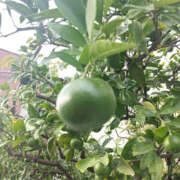 ヒメ日記 2025/08/09 23:55 投稿 ななお 奥鉄オクテツ東京店（デリヘル市場）