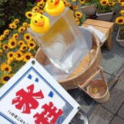 ヒメ日記 2025/08/11 07:45 投稿 ななお 奥鉄オクテツ東京店（デリヘル市場）