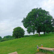 ヒメ日記 2025/08/23 11:50 投稿 ななお 奥鉄オクテツ東京店（デリヘル市場）