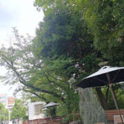 ヒメ日記 2025/09/01 07:25 投稿 ななお 奥鉄オクテツ東京店（デリヘル市場）