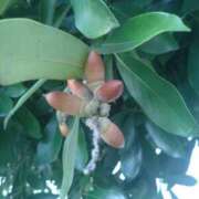 ヒメ日記 2025/09/28 07:20 投稿 ななお 奥鉄オクテツ東京店（デリヘル市場）