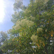 ヒメ日記 2025/10/03 06:10 投稿 ななお 奥鉄オクテツ東京店（デリヘル市場）