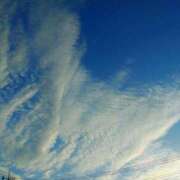 ヒメ日記 2025/10/08 07:00 投稿 ななお 奥鉄オクテツ東京店（デリヘル市場）