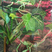 ヒメ日記 2025/10/18 06:35 投稿 ななお 奥鉄オクテツ東京店（デリヘル市場）