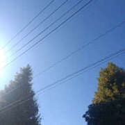 ヒメ日記 2025/11/17 12:05 投稿 ななお 奥鉄オクテツ東京店（デリヘル市場）