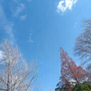 ヒメ日記 2025/12/23 07:50 投稿 ななお 奥鉄オクテツ東京店（デリヘル市場）