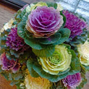 ヒメ日記 2026/01/01 22:50 投稿 ななお 奥鉄オクテツ東京店（デリヘル市場）