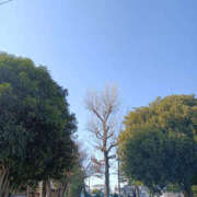 ヒメ日記 2026/01/19 13:45 投稿 ななお 奥鉄オクテツ東京店（デリヘル市場）