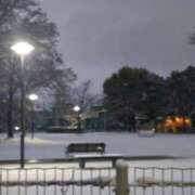 ヒメ日記 2026/02/08 08:30 投稿 ななお 奥鉄オクテツ東京店（デリヘル市場）