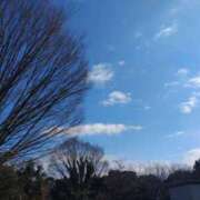 ヒメ日記 2026/02/13 13:35 投稿 ななお 奥鉄オクテツ東京店（デリヘル市場）