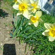 ヒメ日記 2026/03/16 07:50 投稿 ななお 奥鉄オクテツ東京店（デリヘル市場）