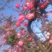 ヒメ日記 2026/03/27 14:40 投稿 ななお 奥鉄オクテツ東京店（デリヘル市場）