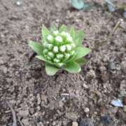 ヒメ日記 2026/04/01 06:15 投稿 ななお 奥鉄オクテツ東京店（デリヘル市場）