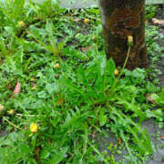 ヒメ日記 2026/04/02 07:30 投稿 ななお 奥鉄オクテツ東京店（デリヘル市場）