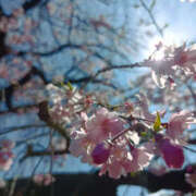 ヒメ日記 2026/04/06 07:35 投稿 ななお 奥鉄オクテツ東京店（デリヘル市場）