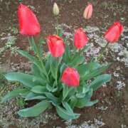 ななお おはよです。( ´ ▽ ` )ﾉ 奥鉄オクテツ東京店（デリヘル市場）