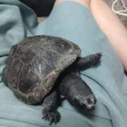 あゆみ ハマっていること🤗 渋谷人妻城