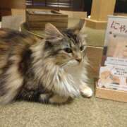 ヒメ日記 2026/04/16 15:40 投稿 あゆみ 渋谷人妻城