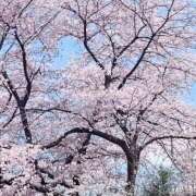 ヒメ日記 2025/04/07 12:25 投稿 安部 渋谷人妻城