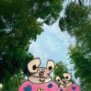 ヒメ日記 2025/03/17 15:59 投稿 楓 渋谷人妻城