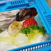 ヒメ日記 2025/03/24 00:49 投稿 楓 渋谷人妻城