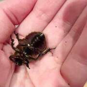 ヒメ日記 2025/06/25 18:03 投稿 楓 渋谷人妻城