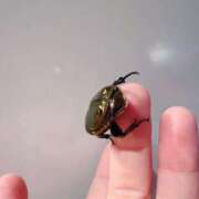 ヒメ日記 2025/07/02 02:00 投稿 楓 渋谷人妻城