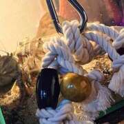 ヒメ日記 2025/07/18 06:04 投稿 楓 渋谷人妻城