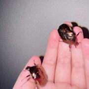 ヒメ日記 2025/07/31 21:31 投稿 楓 渋谷人妻城