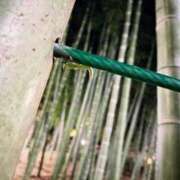 ヒメ日記 2025/08/21 03:45 投稿 楓 渋谷人妻城