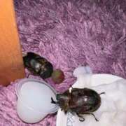 ヒメ日記 2025/08/22 02:04 投稿 楓 渋谷人妻城