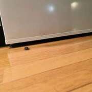 ヒメ日記 2025/09/26 21:23 投稿 楓 渋谷人妻城